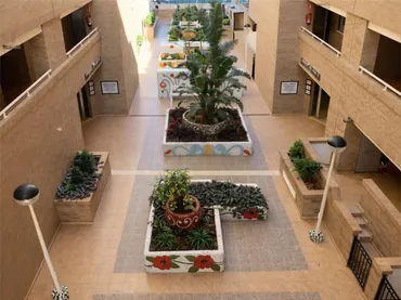 Piso en  Carrer Joanot Martorell 12 - Foto 14