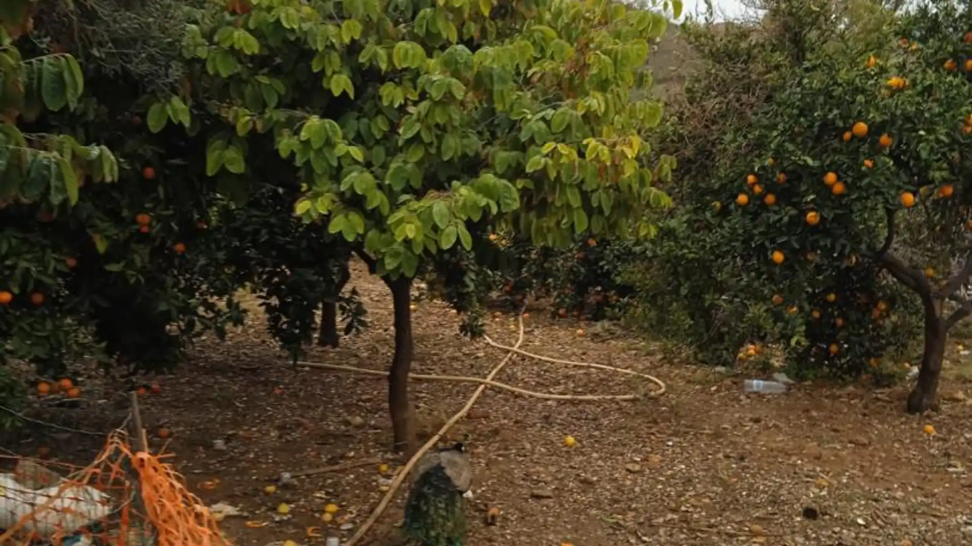 Finca rústica en  Calle Atlántida 242 - Foto 10