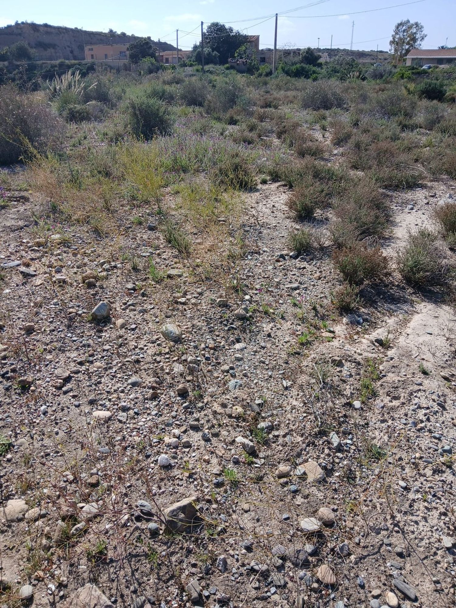 Cortijo en Barriada las Cunas s/n - Foto 12