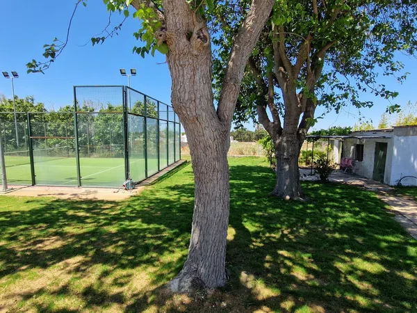 Finca rústica en carril el Clavijo, 39 - Foto 6