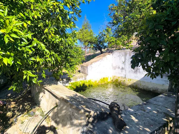 Cortijo en Via Sin Nombre s/n - Foto 7