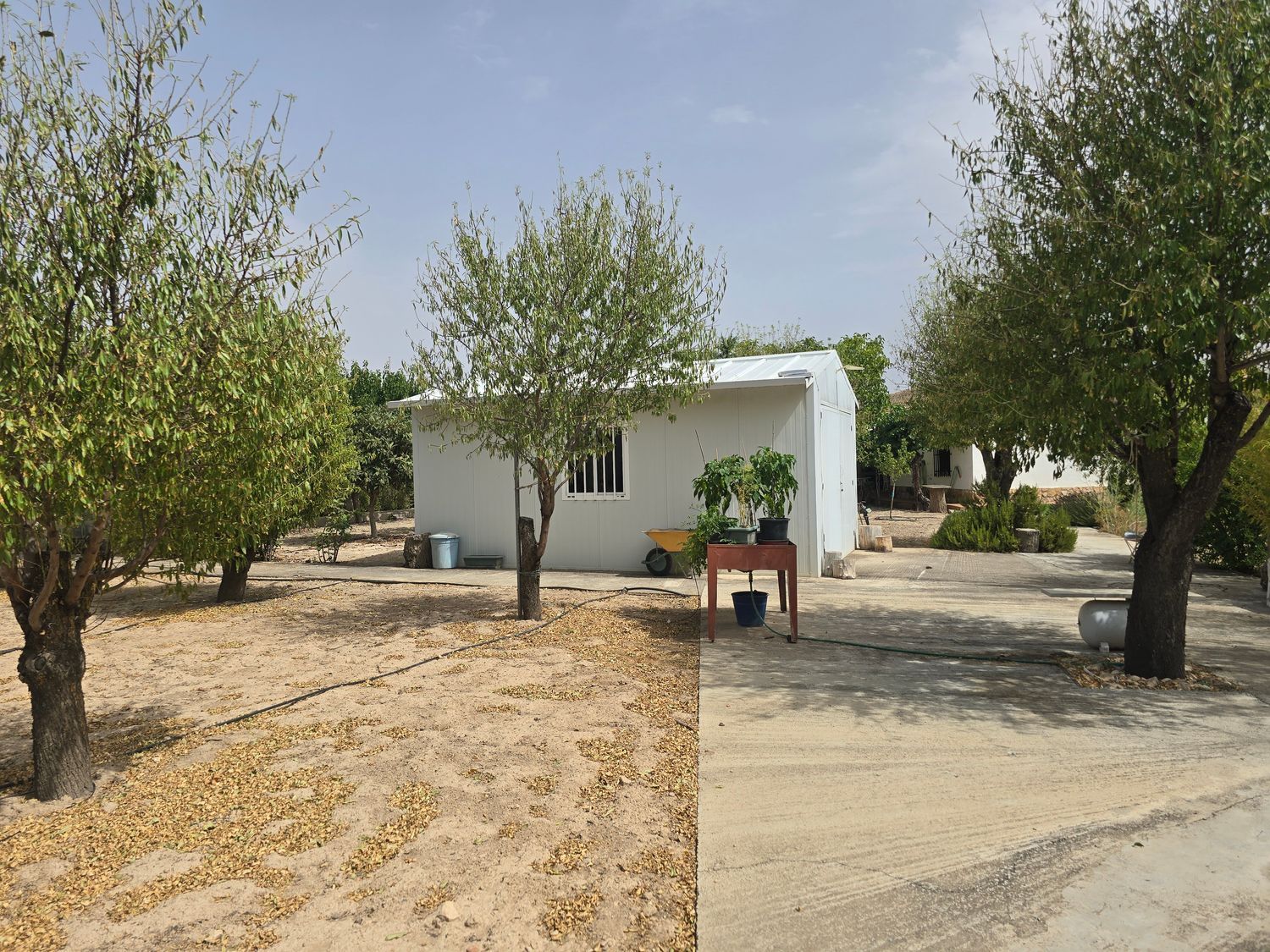 Casa rural en Cordel de Balazote s/n, Barrios periféricos - Pedanías, Barrios periféricos - Pedanías - Foto 29