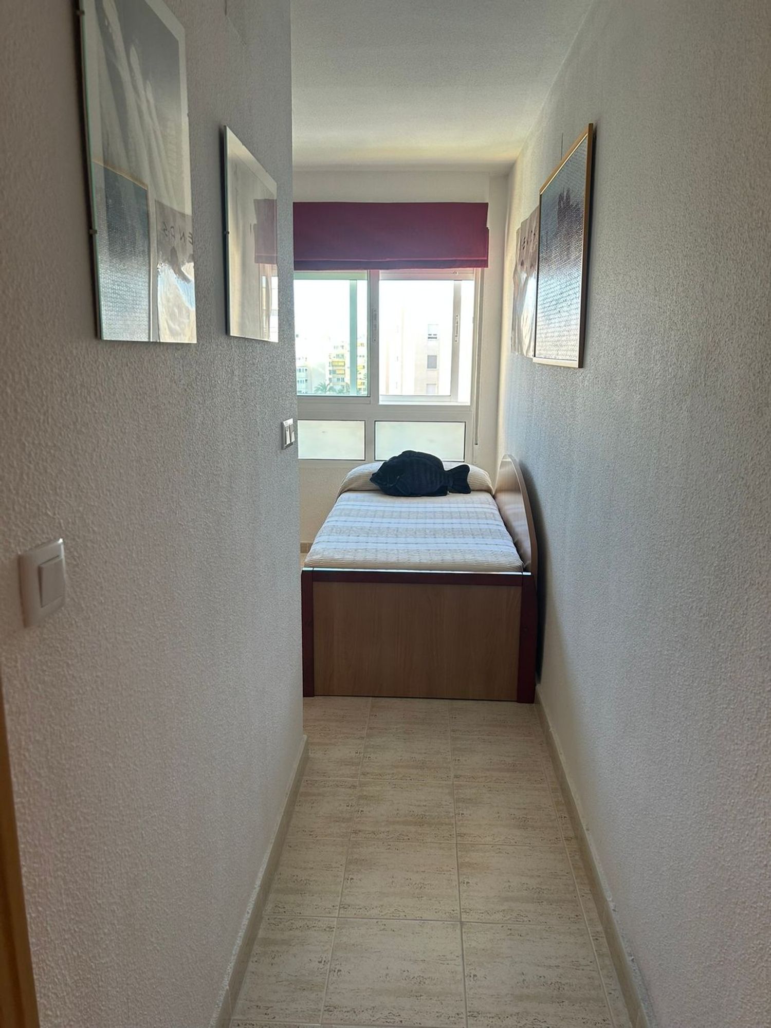Piso en Calle Músico José Mira Figueroa, 1, El Palmeral-Urbanova-Tabarca - Foto 14