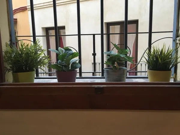 Piso en calle Cristo del Buen Viaje, 11 - Foto 8