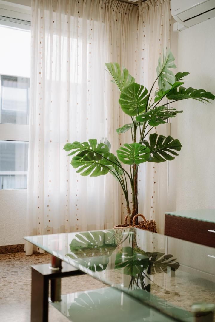 Piso en  Calle de Álvarez Sereix 5 - Foto 13