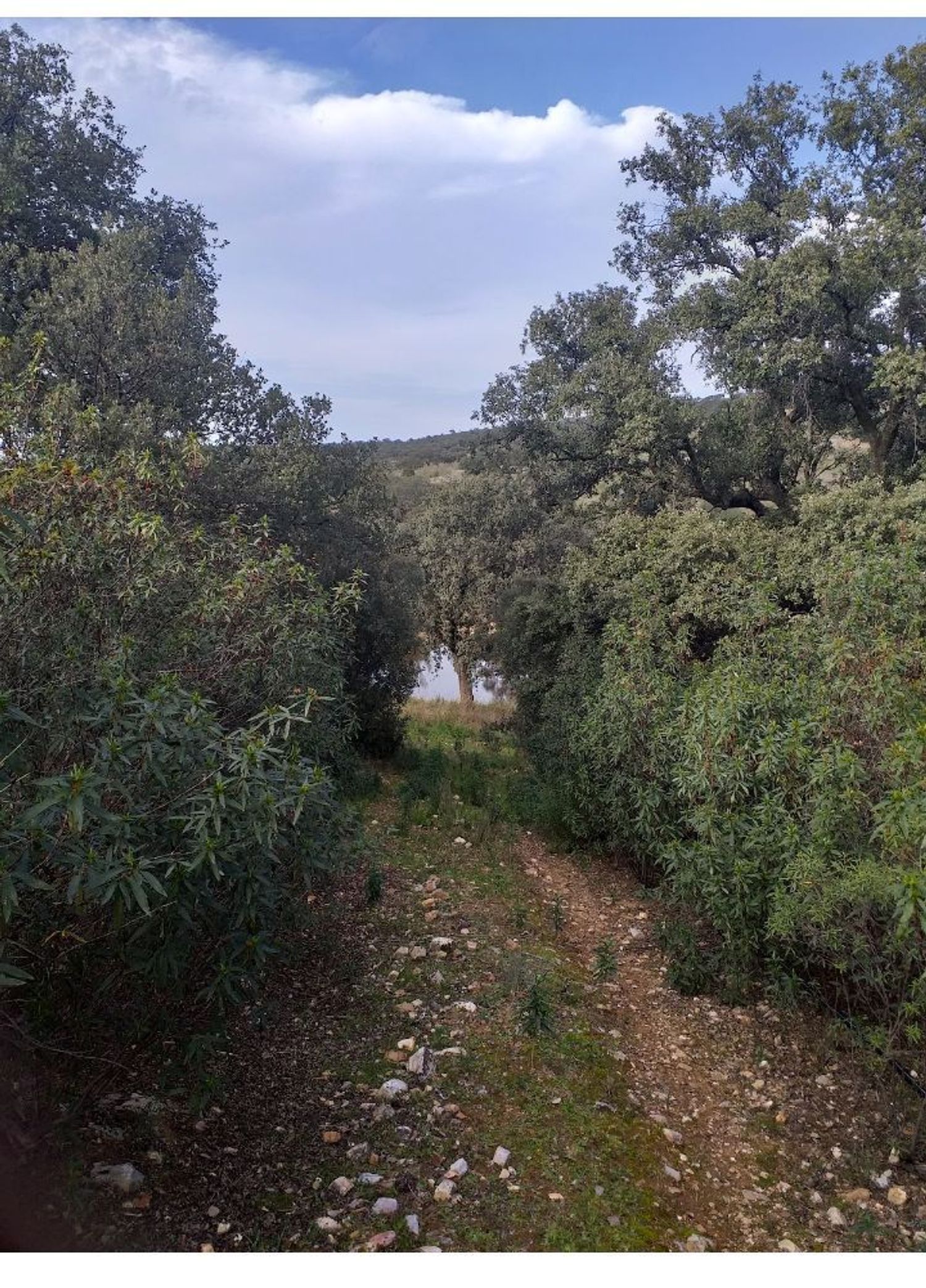 Finca rústica en Sierra de Mampar s/n - Foto 12