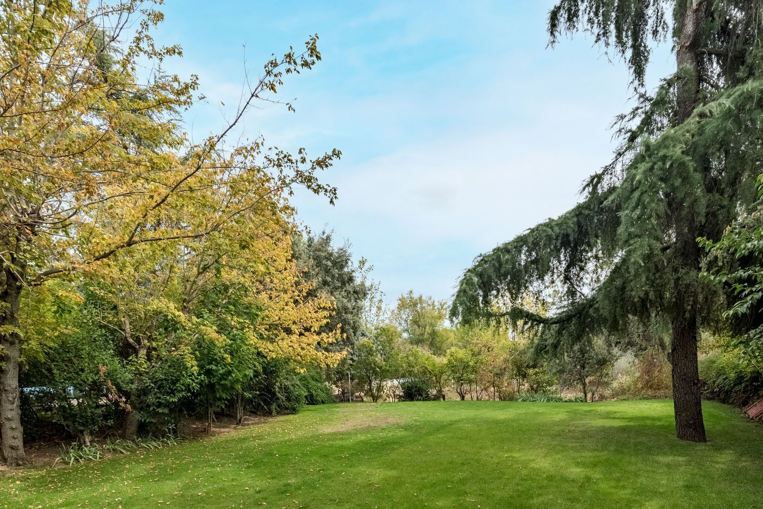 Casa independiente en Urb. las lomas Las Lomas - Foto 4