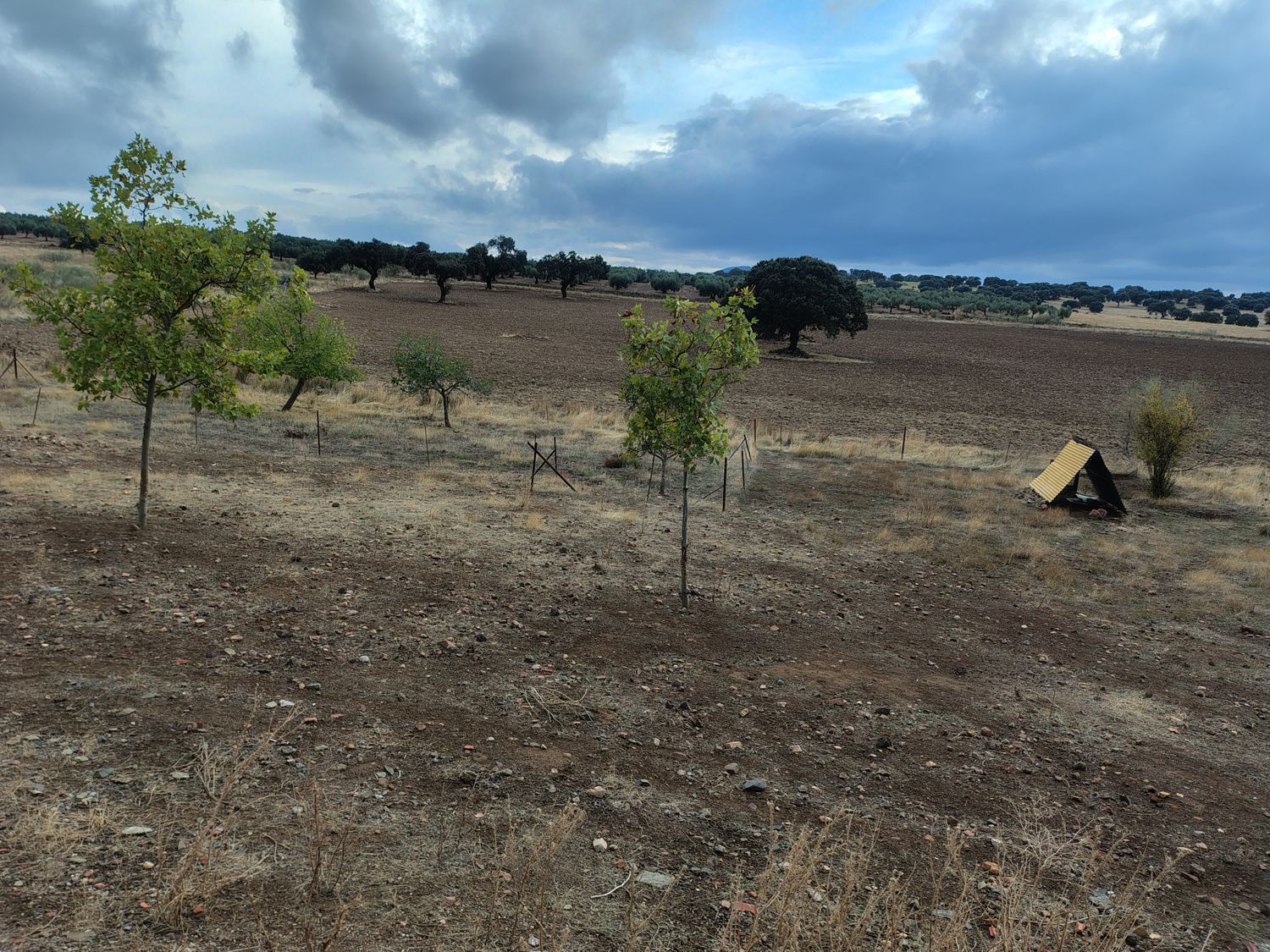 Cortijo en Cortijo en Ex-323 s/n - Foto 32