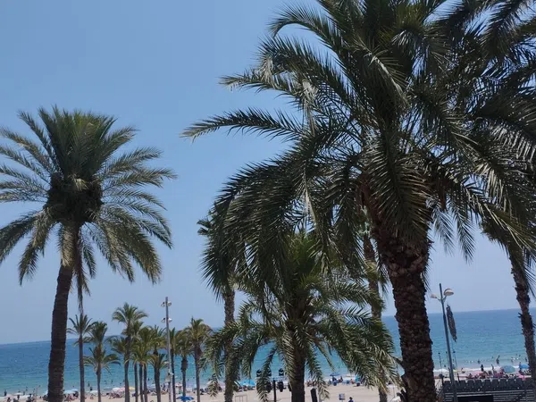Piso en Avenida Jose Maria Esquerdo Zaragoza, 10, Platja Vila Joiosa, Platja Vila Joiosa - Foto 5