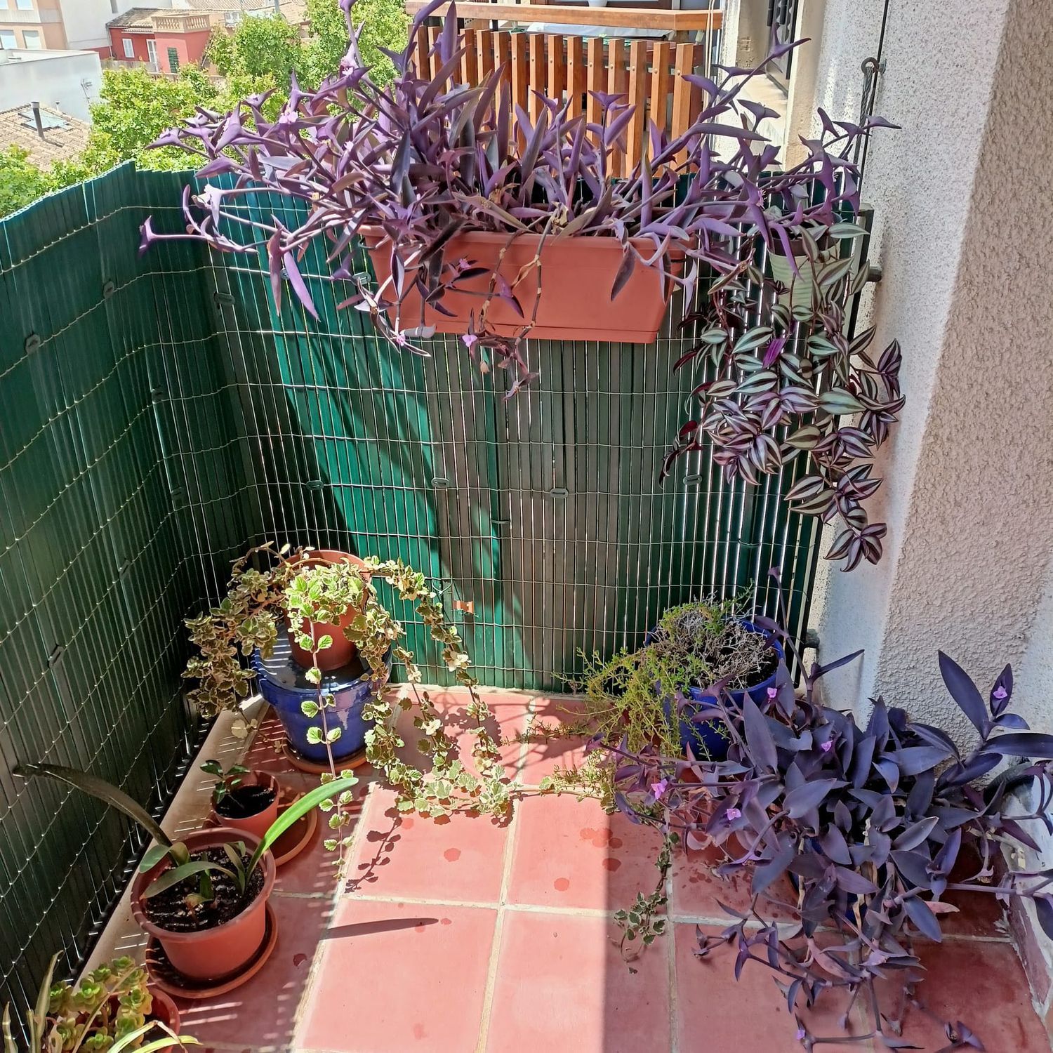 Piso en calle de la Reina Maria Cristina, 52 - Foto 22