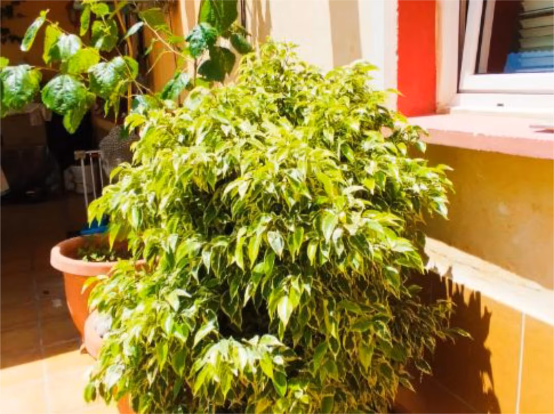 Ático en  Carrer Isidoro Antillón 11B - Foto 9