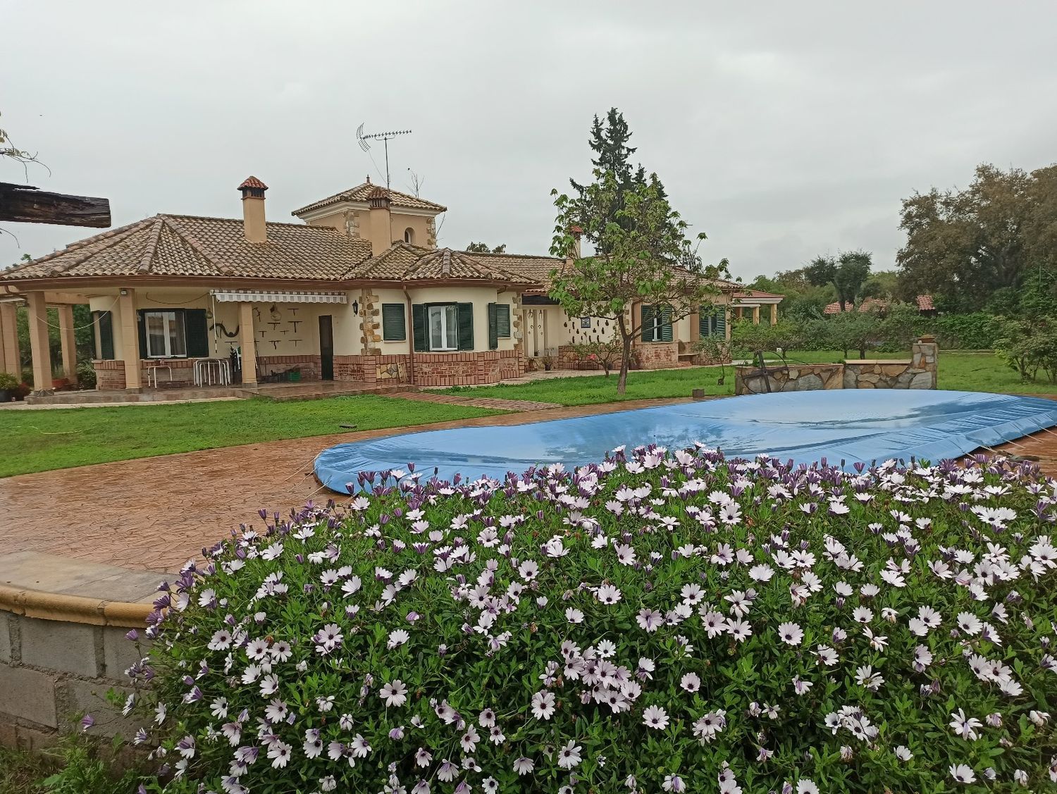 Casa o chalet independiente en Urbanización Río Caya, 67, Casco Antiguo - Centro, Casco Antiguo - Centro - Foto 25