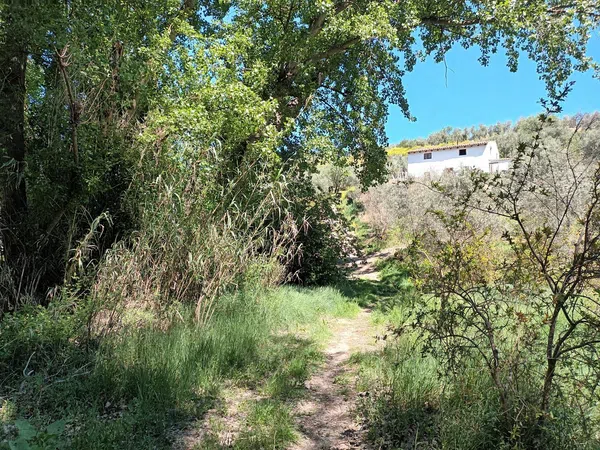 Cortijo en Cortijo en Calle Antonio Machado s/n - Foto 6