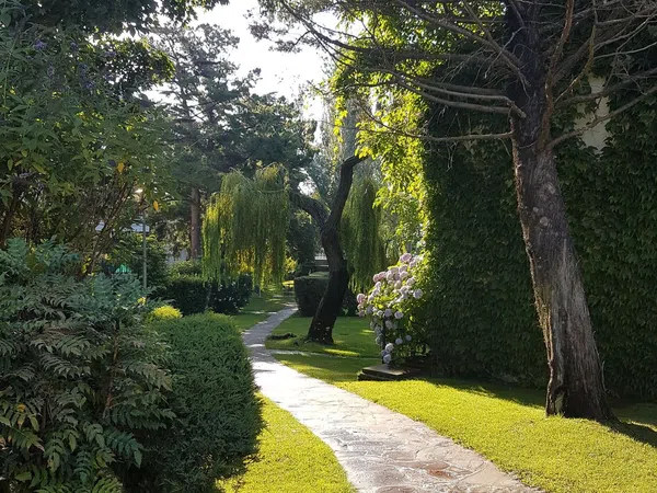 Dúplex en avenida Felipe II, 2 - Foto 37