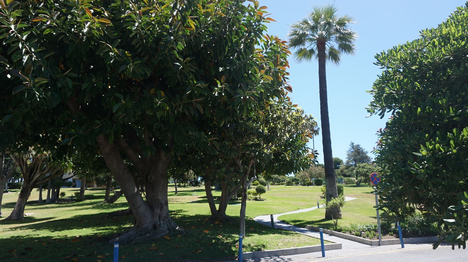 Estudio en avenida del Prado, 10 - Foto 20