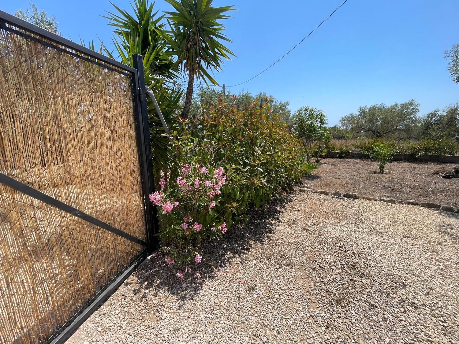Casa rural en Via Polígono 73 parcela, 36, L'Ametlla de Mar, L'Ametlla de Mar - Foto 30