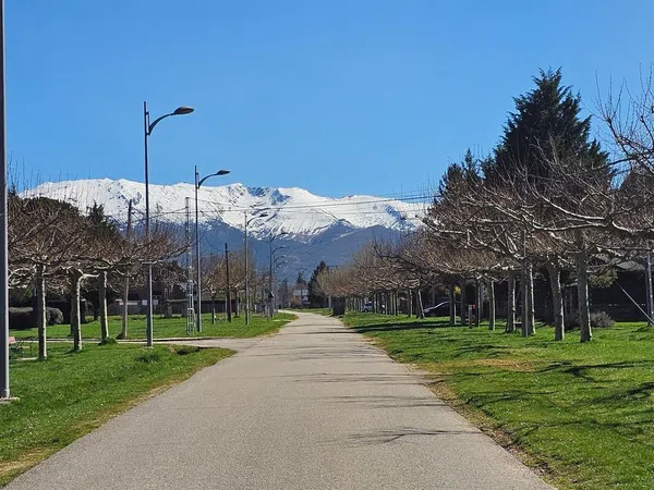 Piso en Riaza - Foto 30