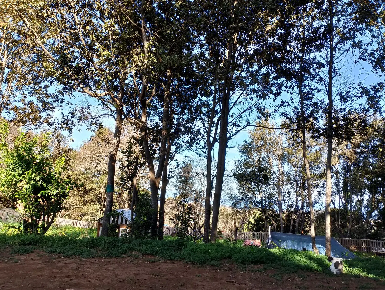 Finca rústica en camino el Laurel, 5555 - Foto 17