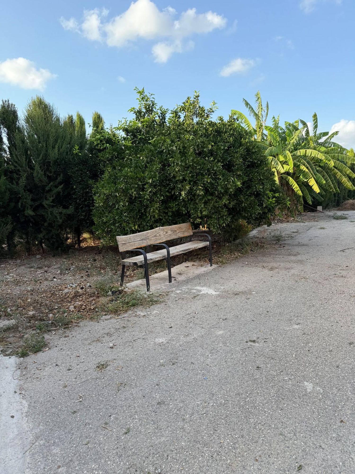 Finca rústica en Camino de los Plazas, 16, San José de la Vega - Foto 3