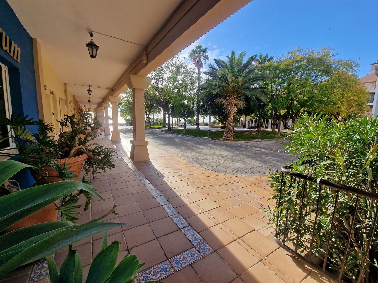 Estudio en calle de la Nit, 1 - Foto 13