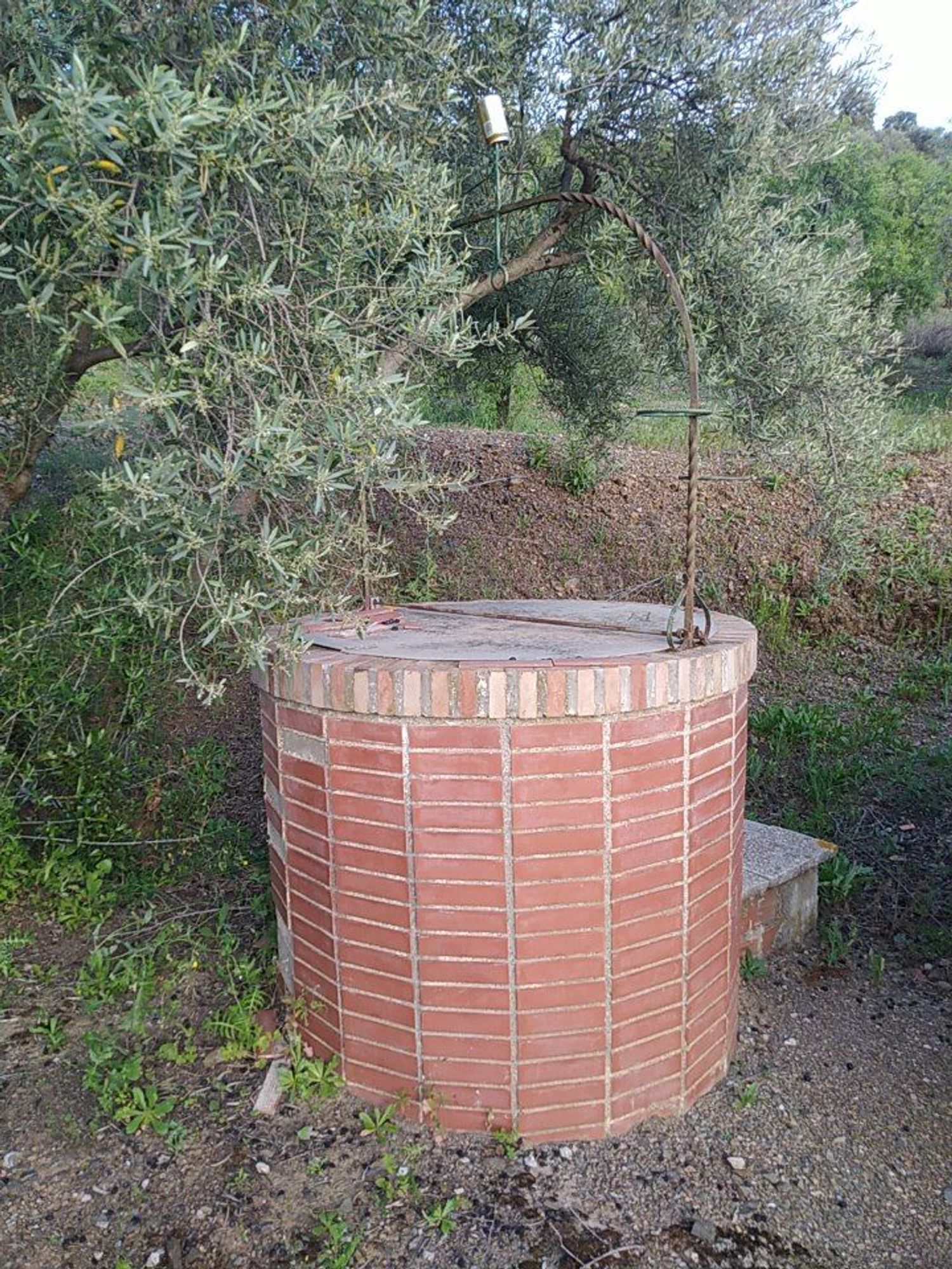 Finca rústica en Diseminado, 600500 Vf07h - Foto 30