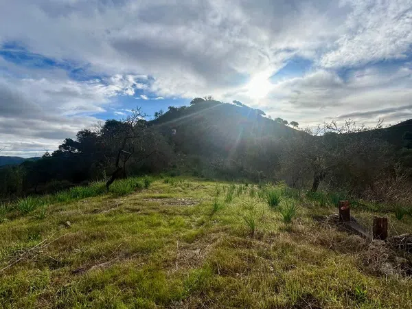 Casa o chalet independiente en Carretera de abdalajis, 1, Cártama pueblo, Cártama pueblo - Foto 12