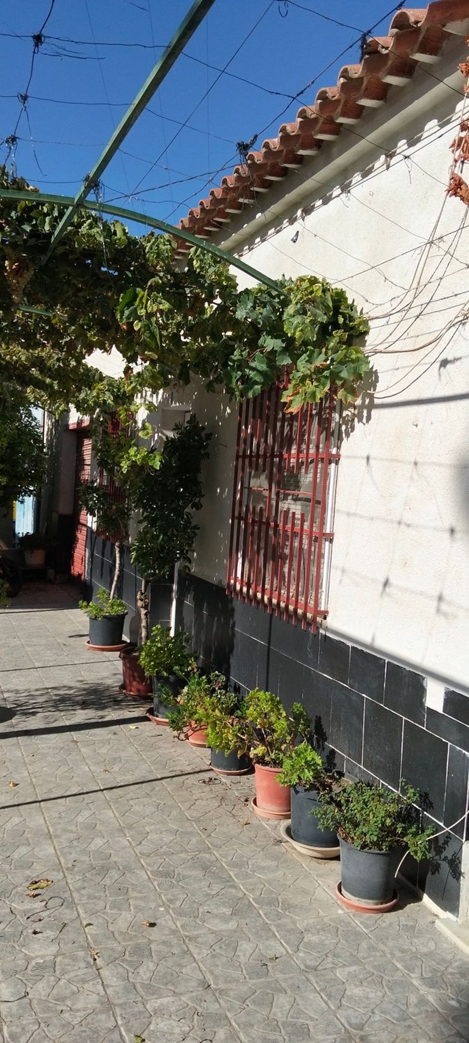 Casa rural en Canada de Marines s/n, San Diego-Los Ángeles-San Cristóbal, San Diego-Los Ángeles-San Cristóbal - Foto 5
