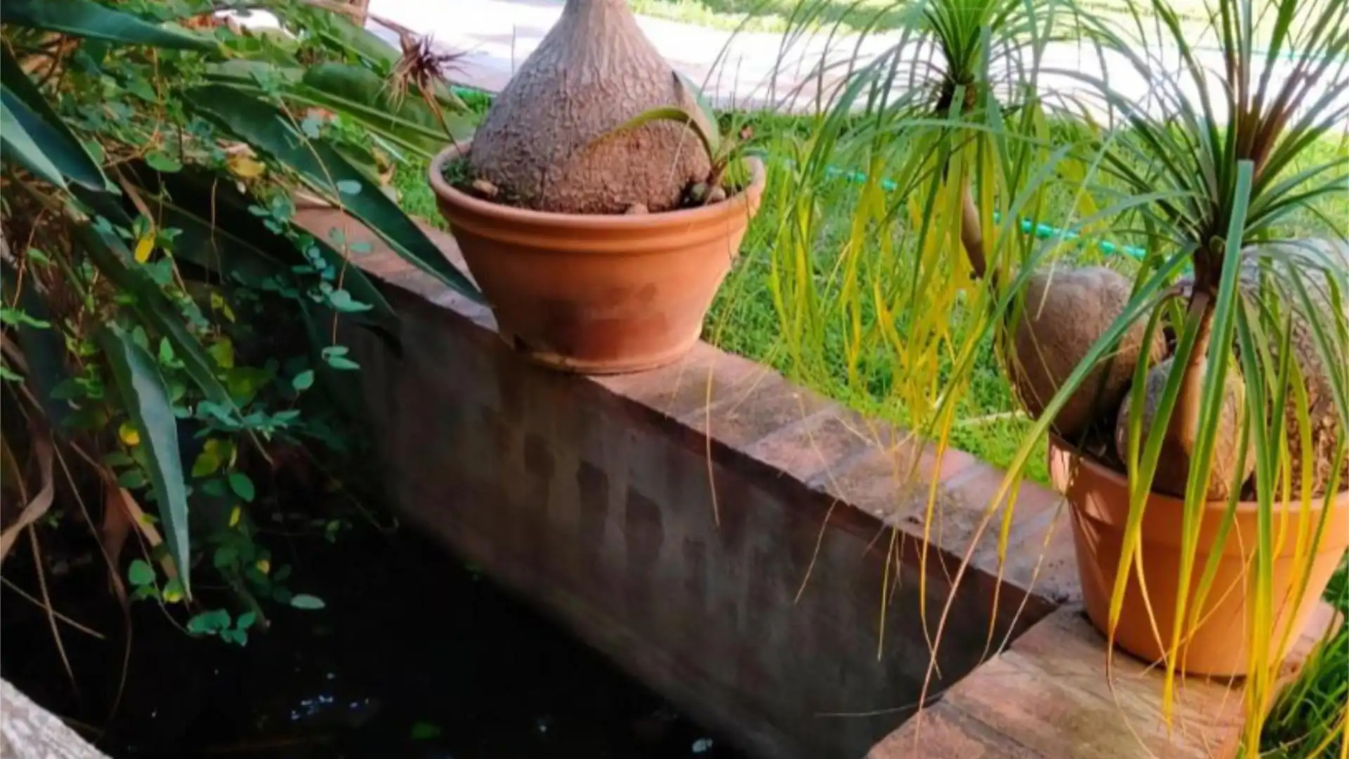 Chalet en  Carretera 188 - Foto 5