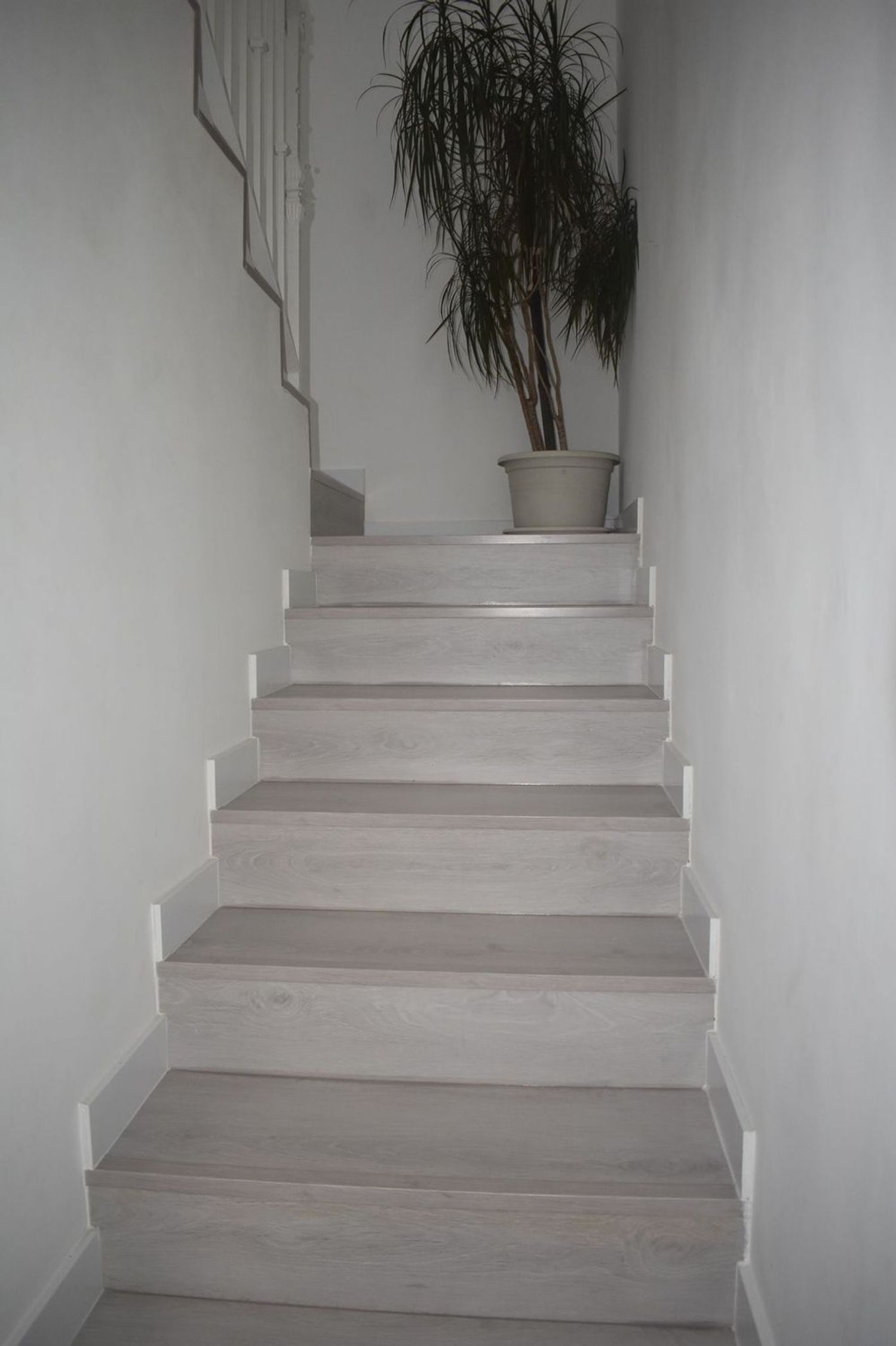 Casa o chalet independiente en Calle de San Manuel, 18, Parque Europa - Los Pitufos, Parque Europa - Los Pitufos - Foto 4