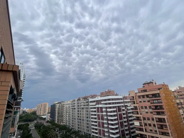 Piso en Avenida de França, 18, Penya-Roja - Foto 10