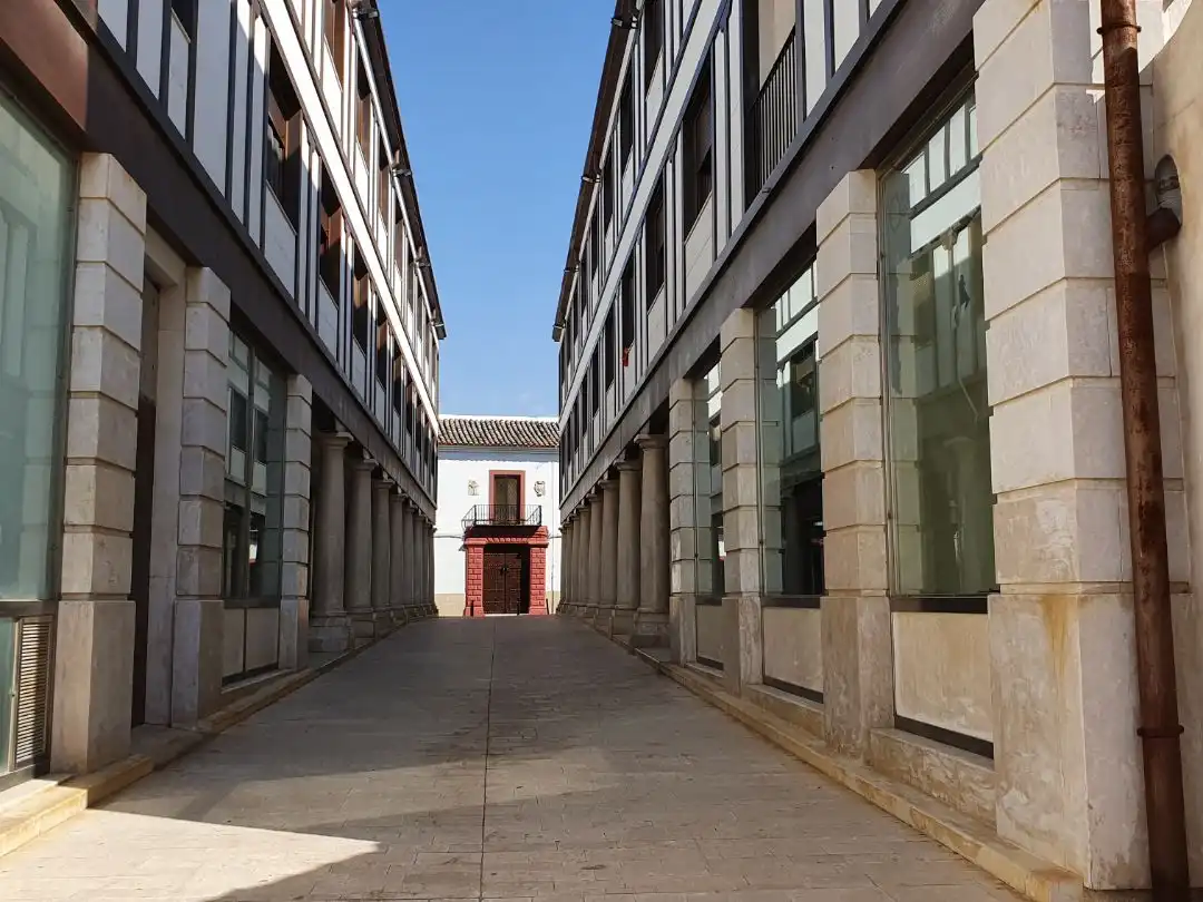 Piso en  Calle Virgen de Criptana 18 - Foto 11