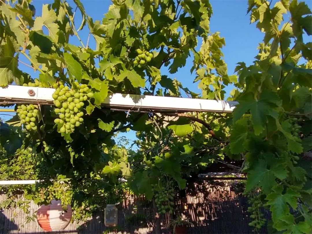 Chalet en  Calle las Buganvillas 27 - Foto 12