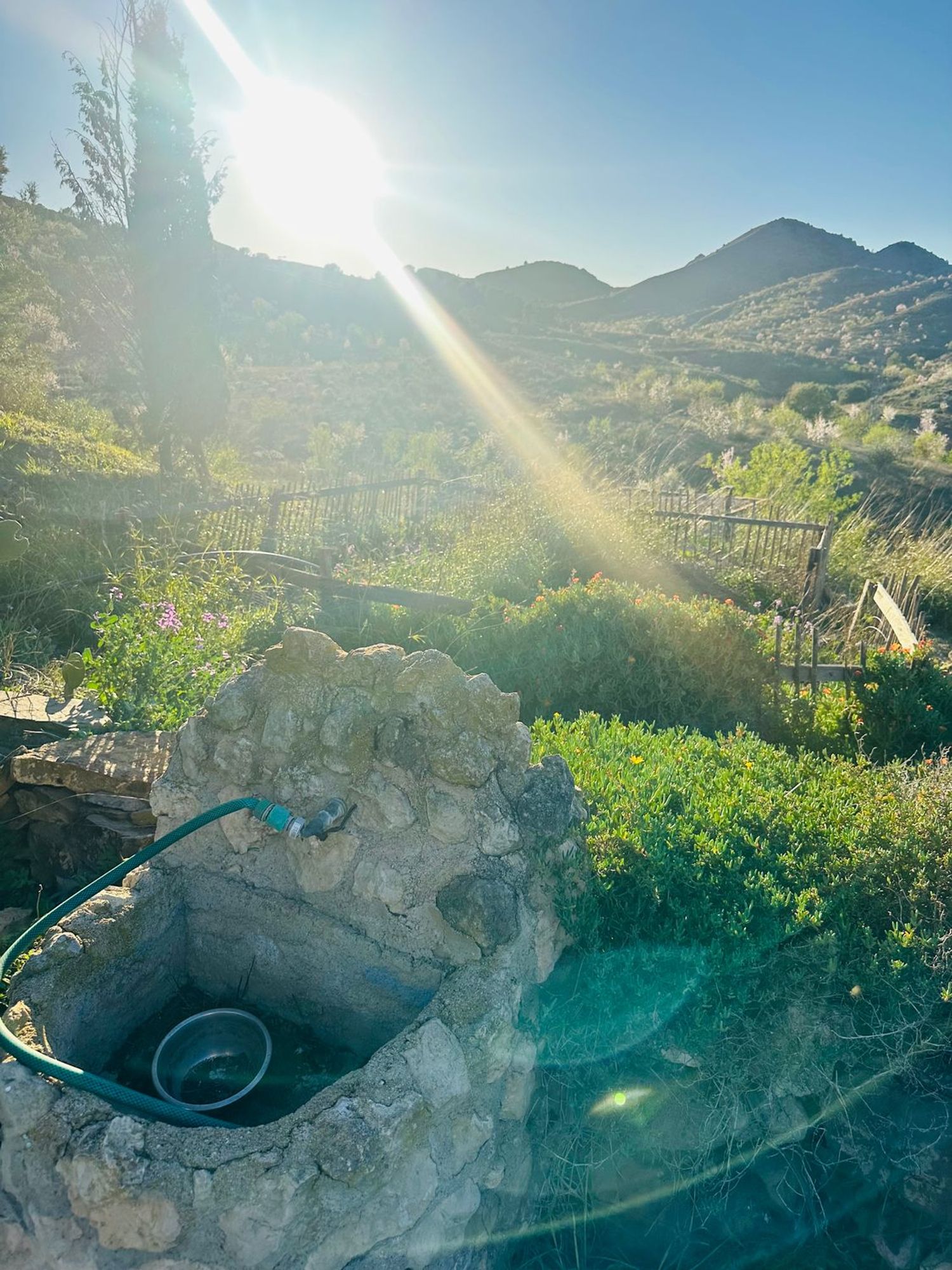Finca rústica en Zarcilla de Ramos-Doña Inés - Foto 40