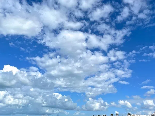 Casa independiente en calle de la Cepa, 9 - Foto 31