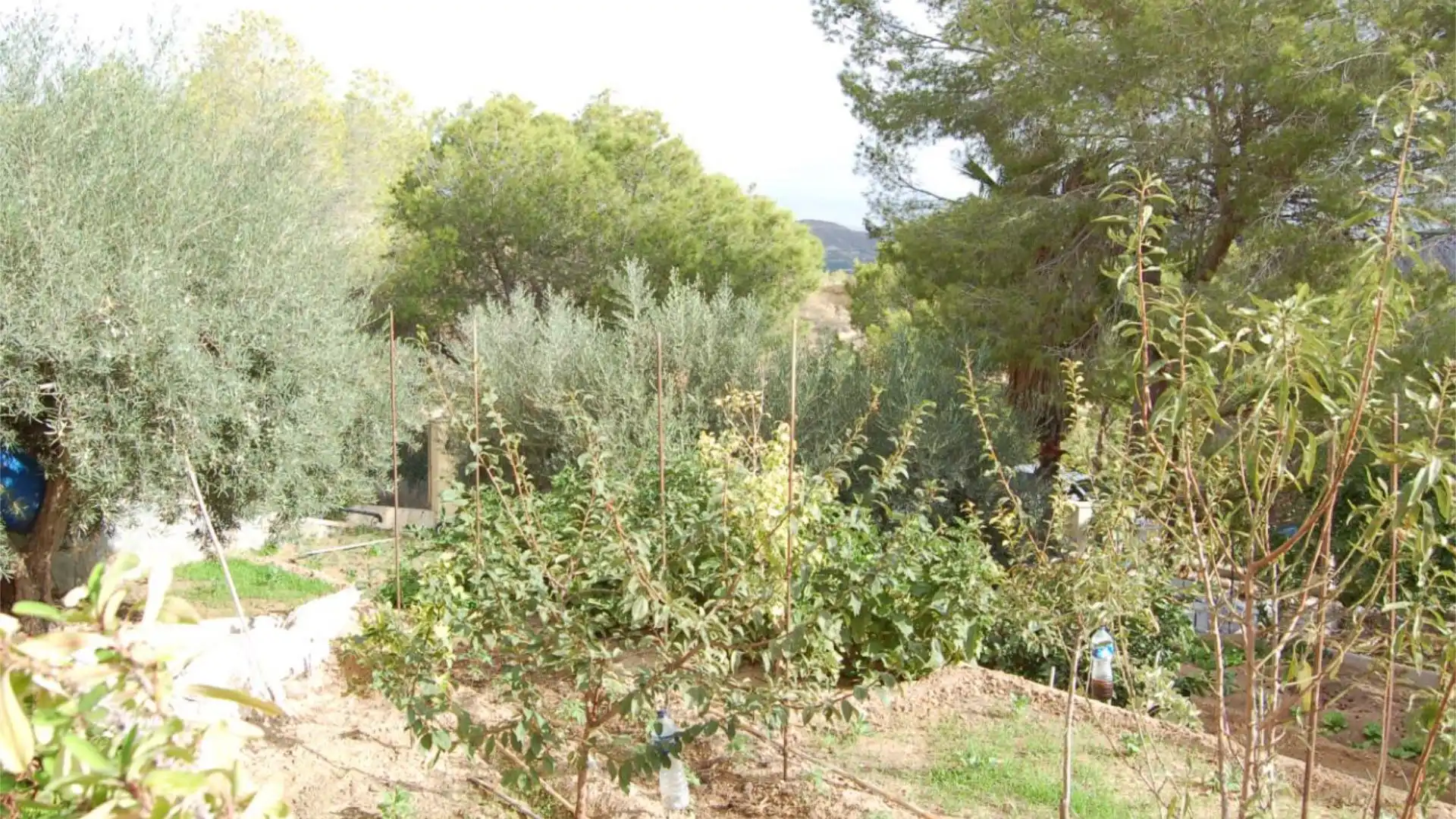 Chalet en  Urbanización la Pinada 37 - Foto 48