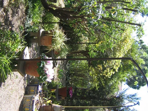 Casa de pueblo en Calle Cerrico de las Moyas, 34 - Foto 1