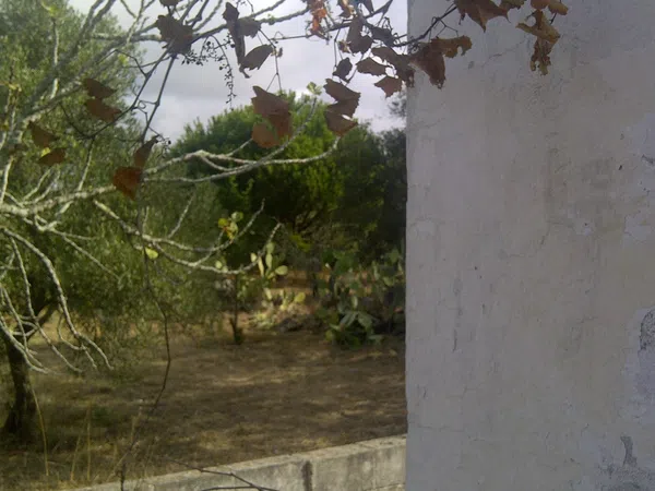 Casa independiente en camino de Melilla s/n - Foto 24