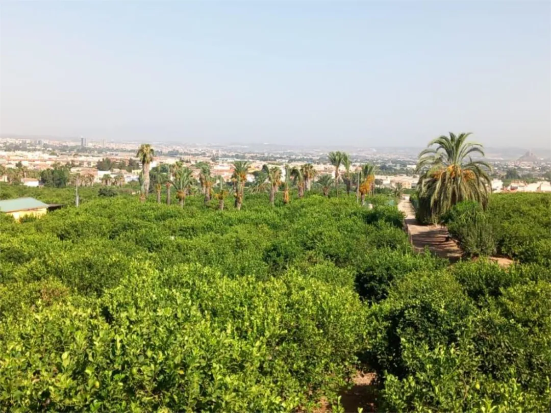 Piso en  Camino de Monteazahar 63 - Foto 16