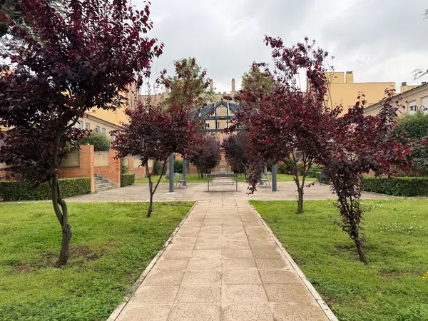 Piso en Avenida de Grecia, 33, Los Bermejales - Foto 1