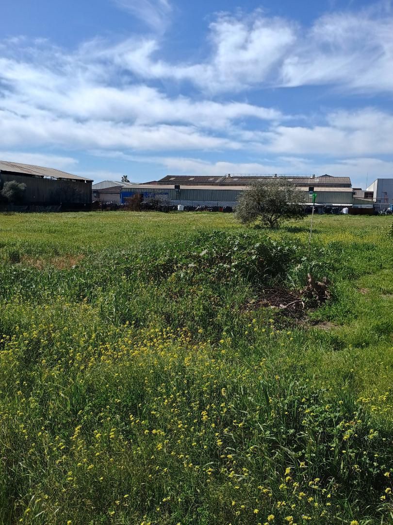 Finca rústica en  Camino de la Barquera 51 - Foto 12