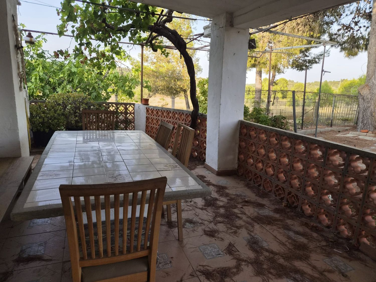 Finca rústica en Plaza Numero 3, 148, Las Pedrizas, Las Pedrizas - Foto 3