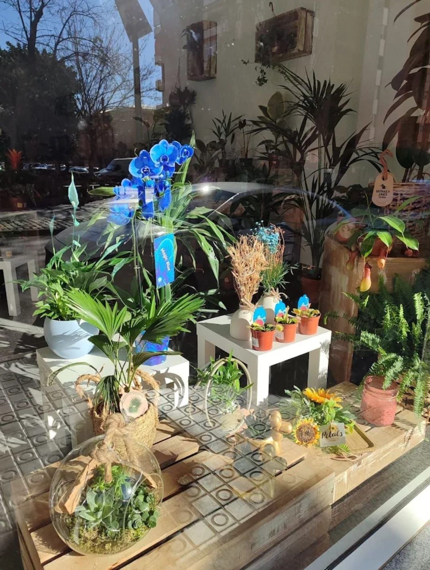 Local en Floristería en Eixample, Eixample - Foto 2