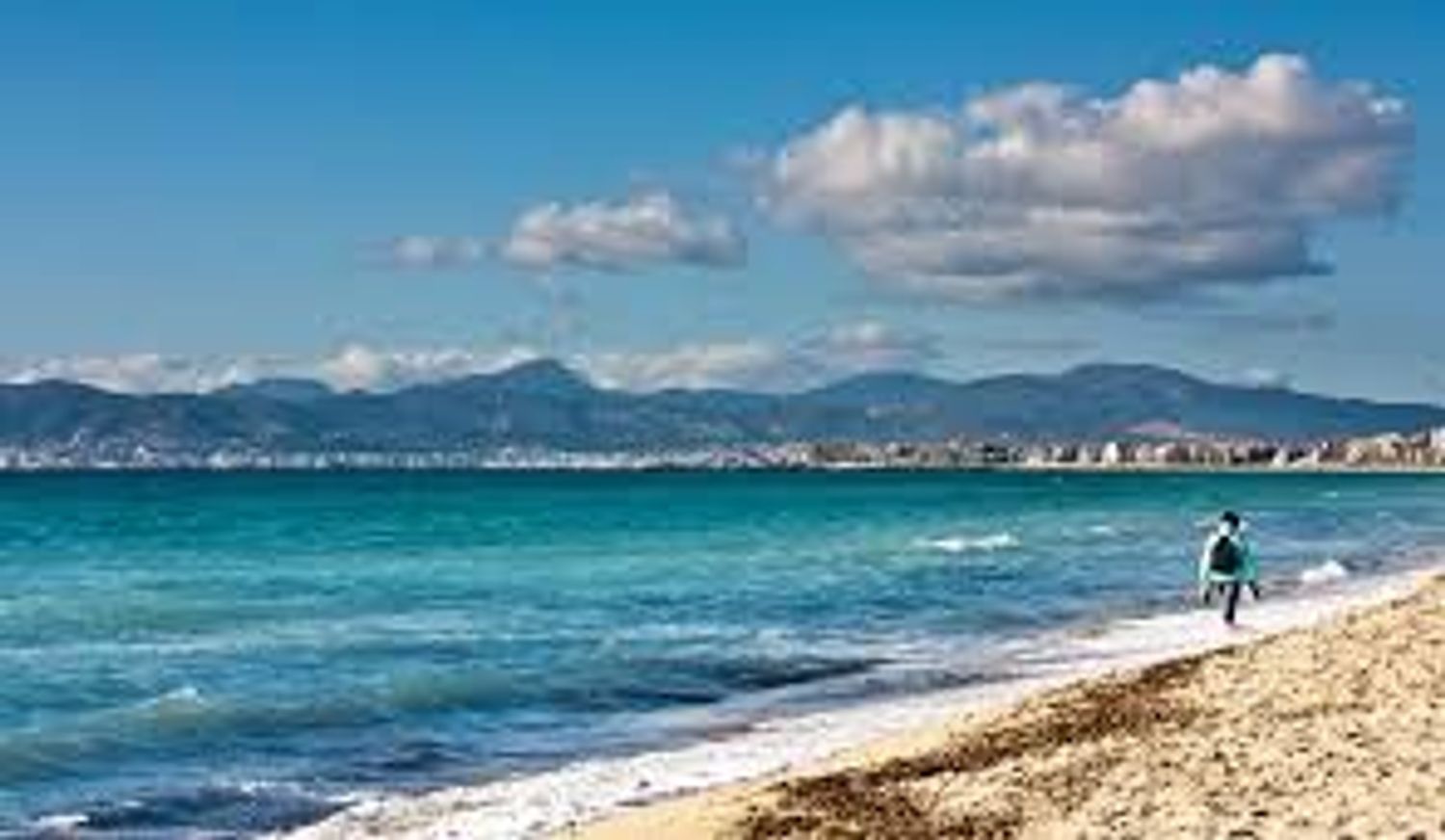 Estudio en calle de Miquel Pellisa, 23