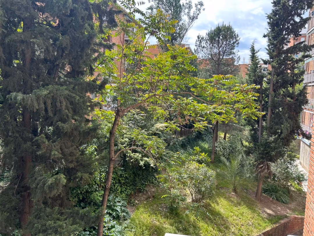 Piso en  Calle de Ricardo Ortiz 47 - Foto 7