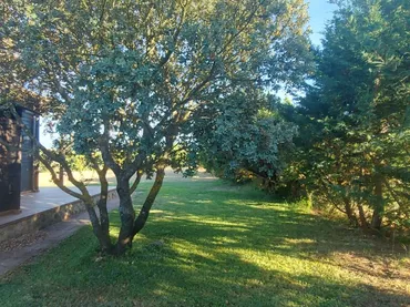 Piso en Fresno de Cantespino - Foto 39
