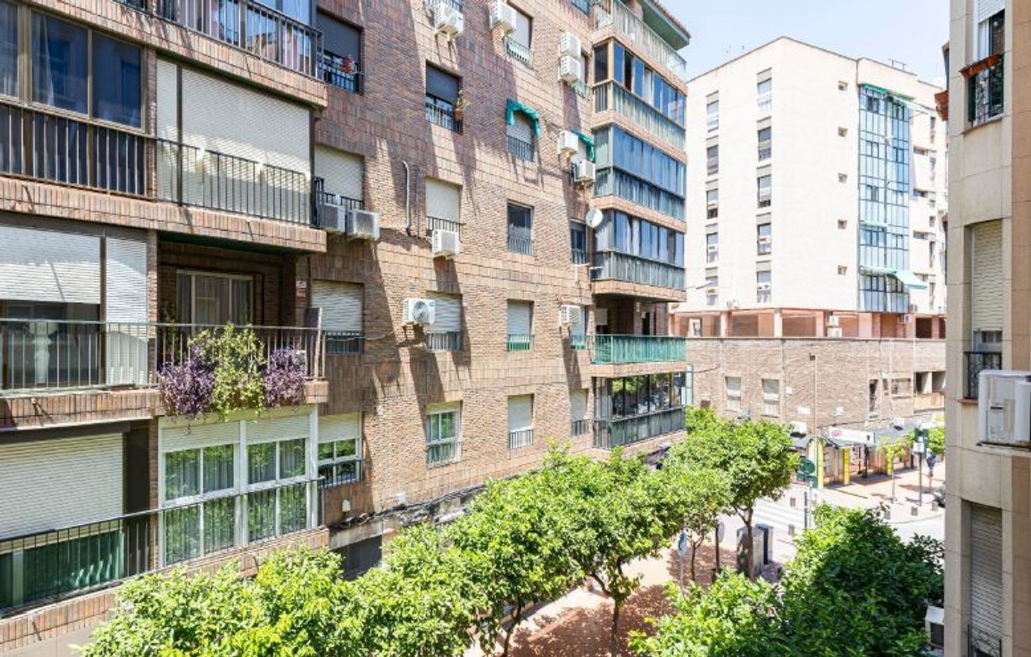 Piso en Barrio San Nicolás - Foto 17