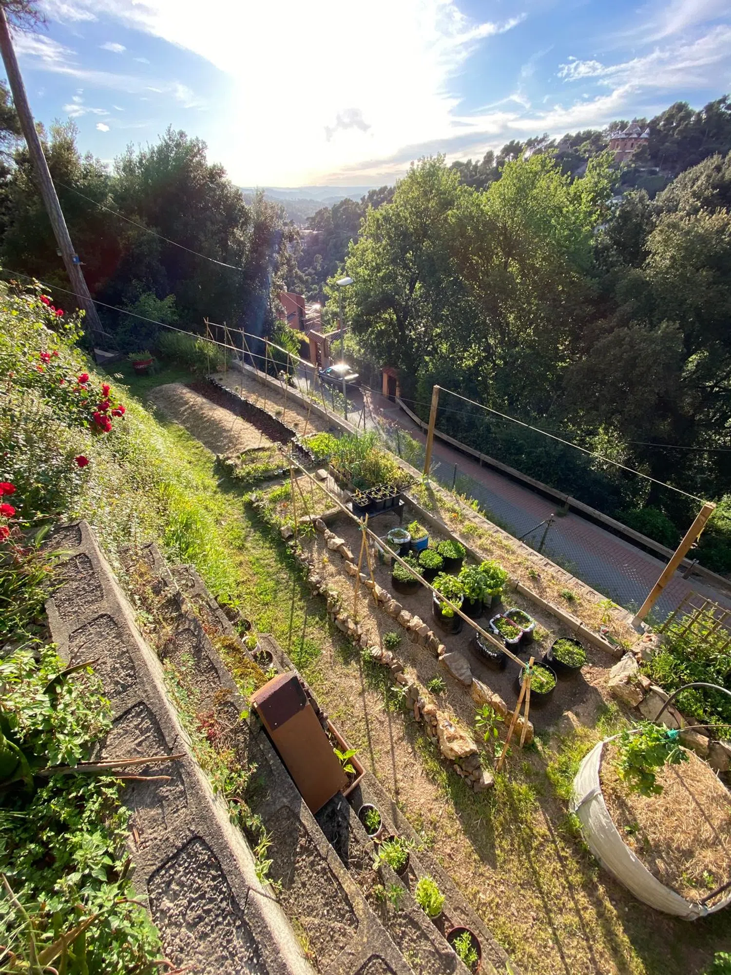 Casa independiente en calle Lila, 16 - Foto 22