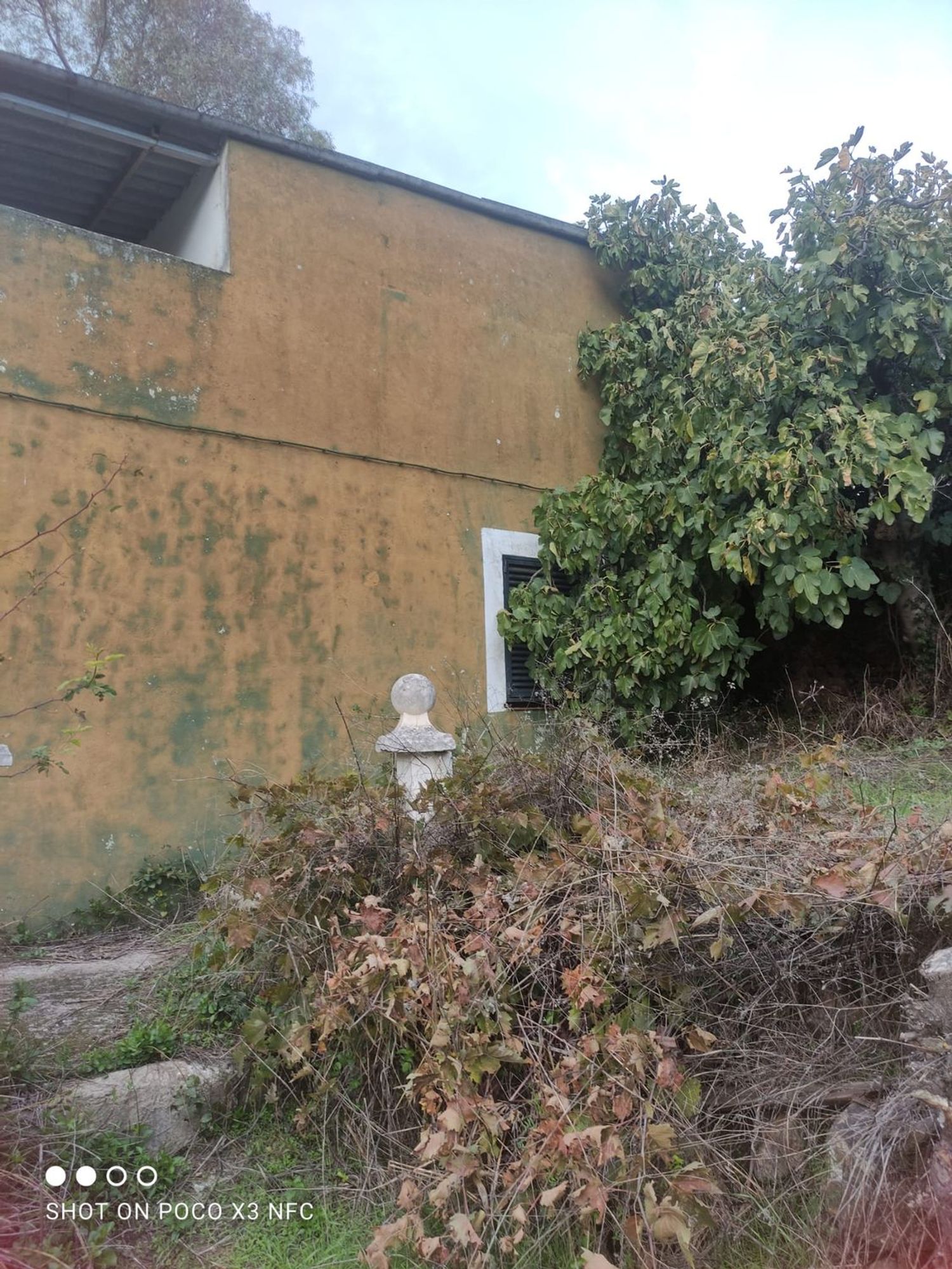 Finca rústica en Calle Grimaldo, 15 - Foto 6