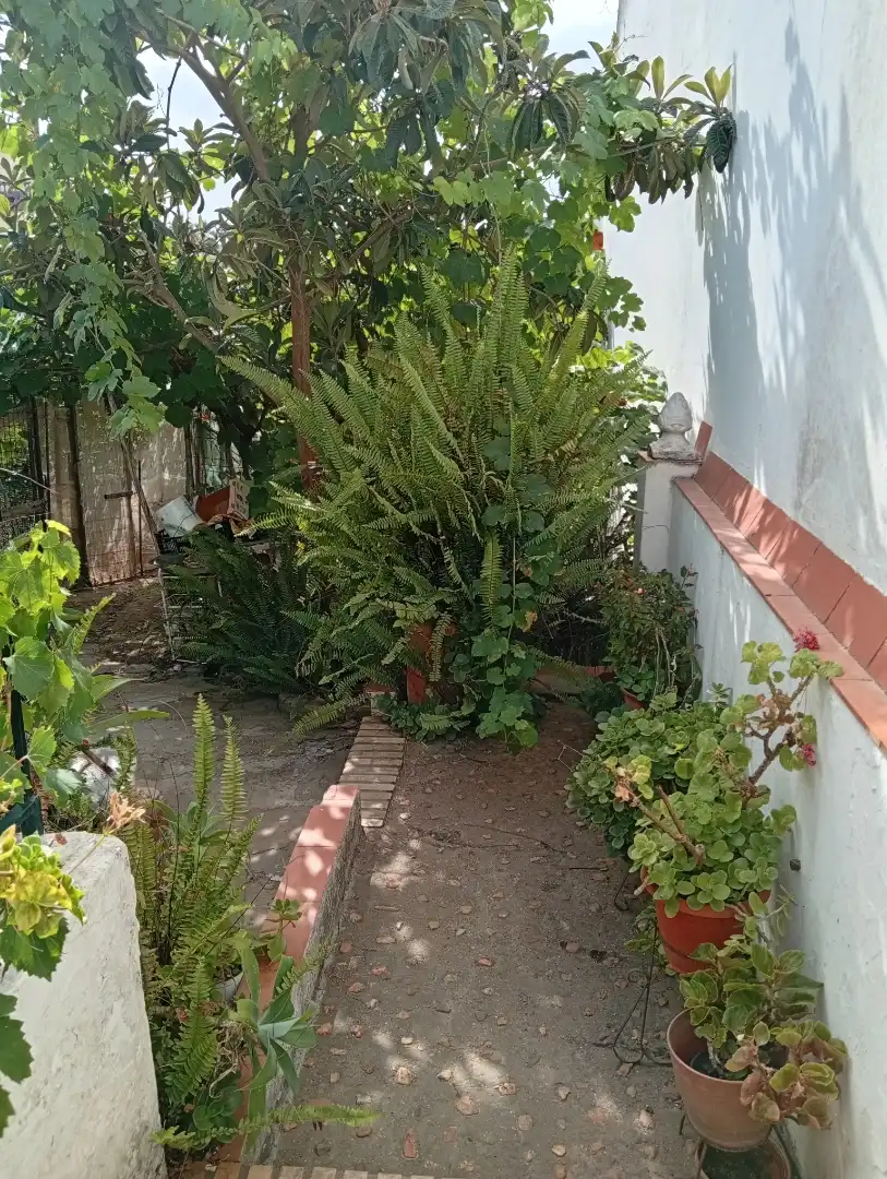 Planta baja en  Calle Galdames 83 - Foto 29