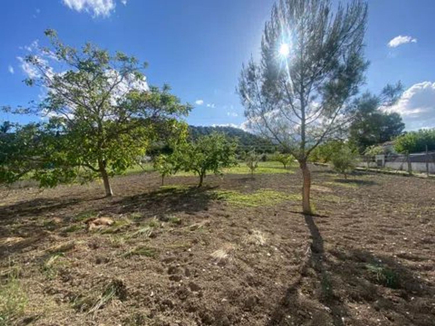 Casa o chalet independiente en Calle Comunidad los Vidrieros s/n, Puente Jontoya - Puente de la Sierra - El Arroyo, Puente Jontoya - Puente de la Sierra - El Arroyo - Foto 13